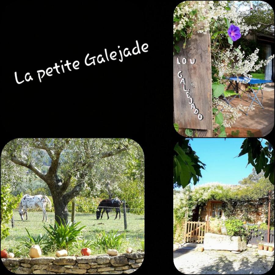 Villa La petite Galéjade Gordes Esterno foto