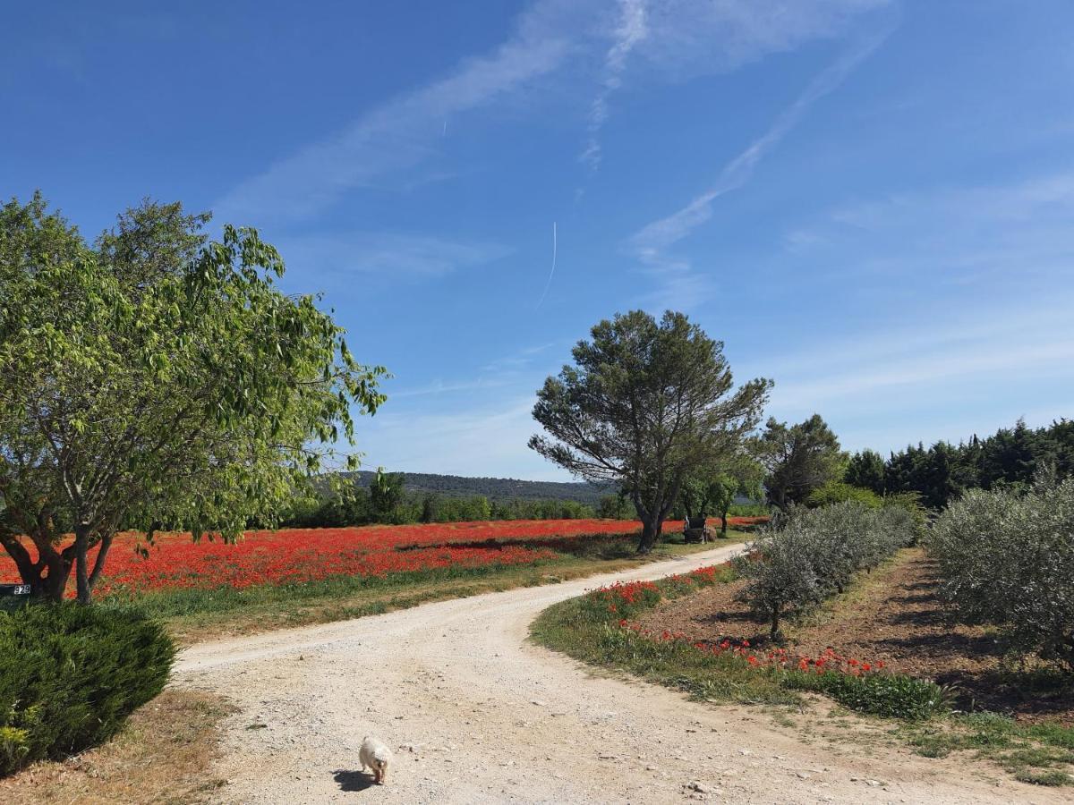 Villa La petite Galéjade Gordes Esterno foto