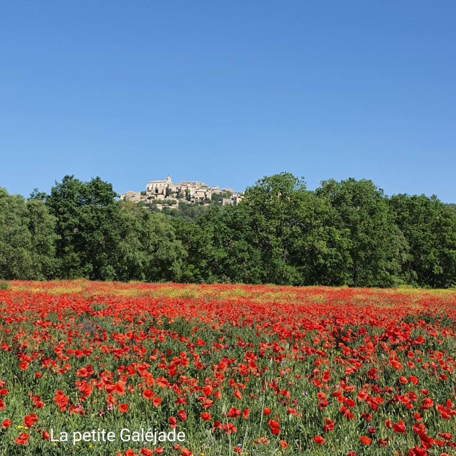 Villa La petite Galéjade Gordes Esterno foto