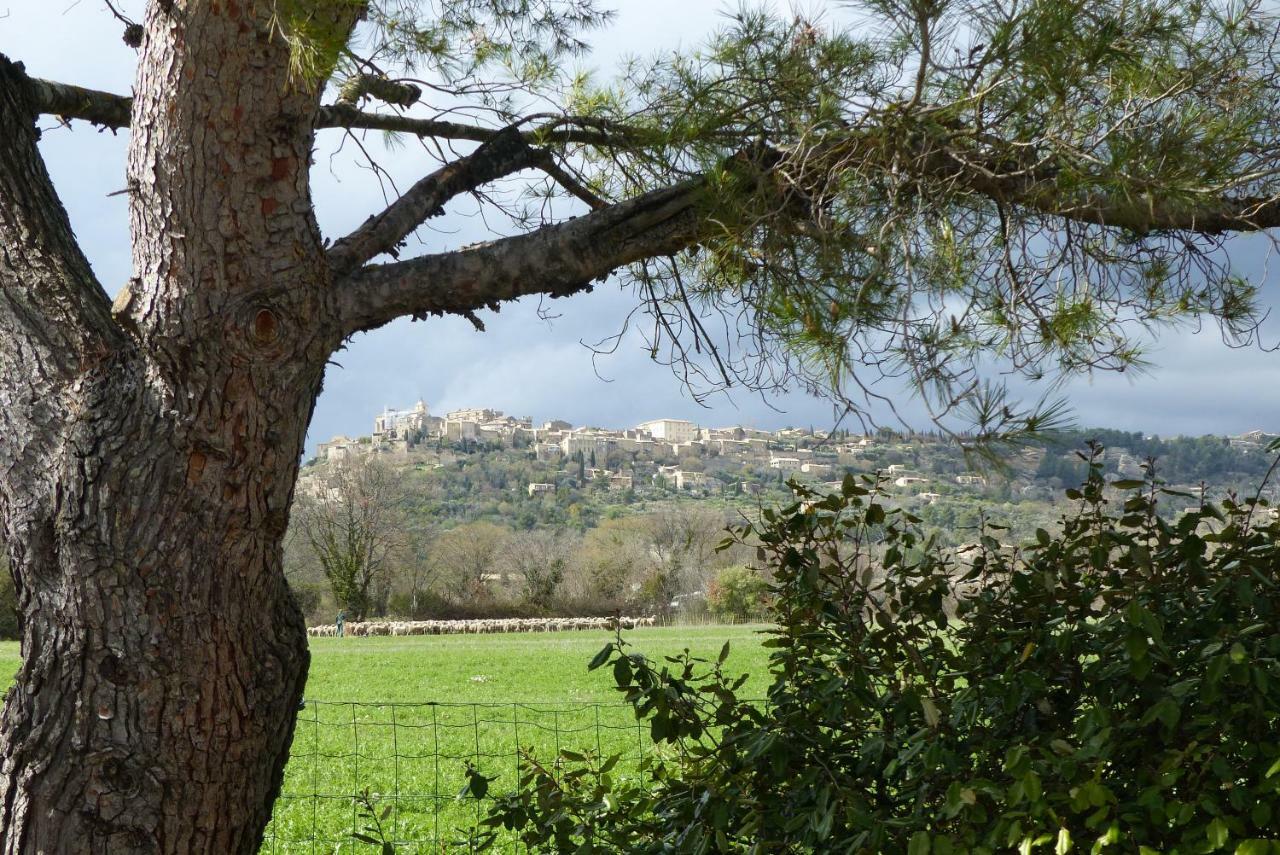 Villa La petite Galéjade Gordes Esterno foto